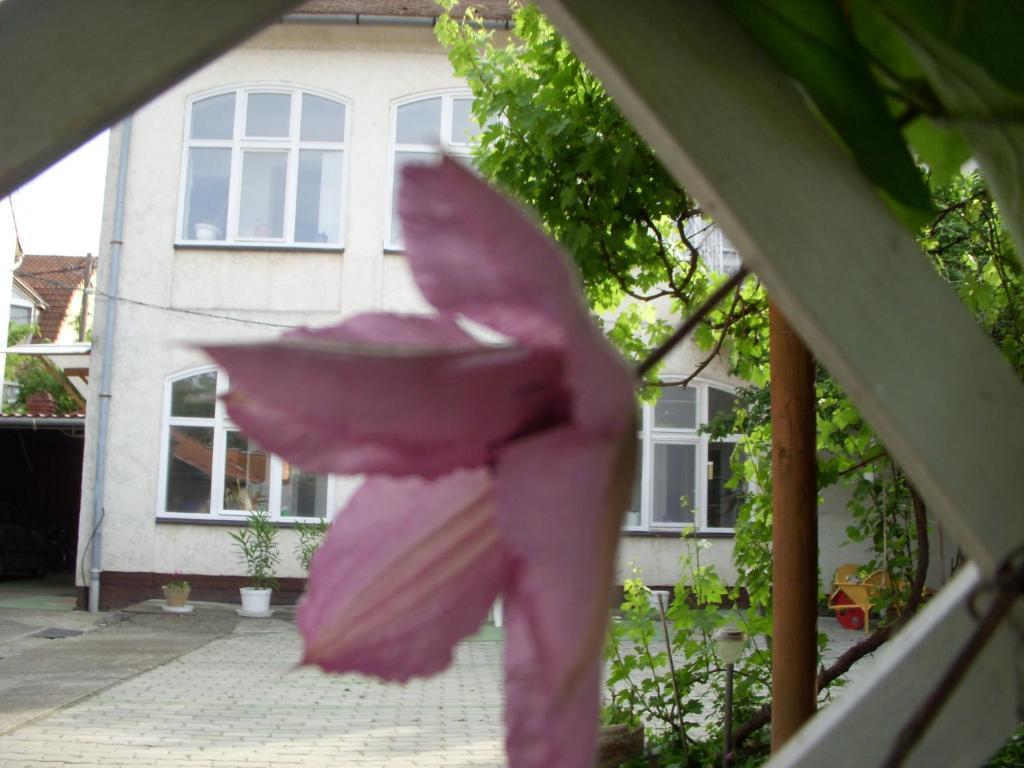 Garden Szivarvany Utcai Vendeghaz Сегед Экстерьер фото